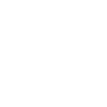 logo light